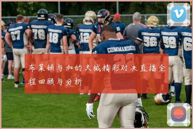 布莱顿与加的夫城精彩对决直播全程回顾与分析
