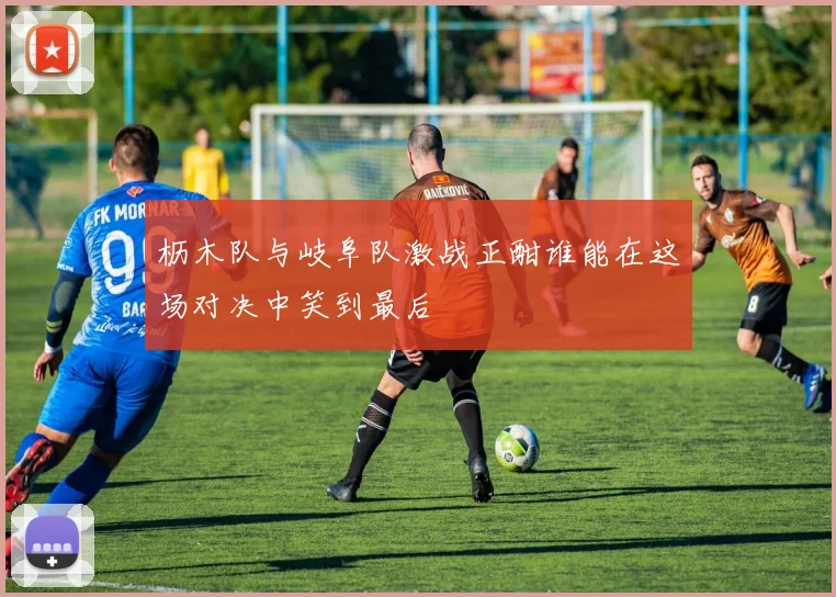 枥木队与岐阜队激战正酣谁能在这场对决中笑到最后